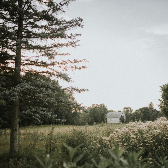 Meet your Posher, Brittany - Picture 1 of 1